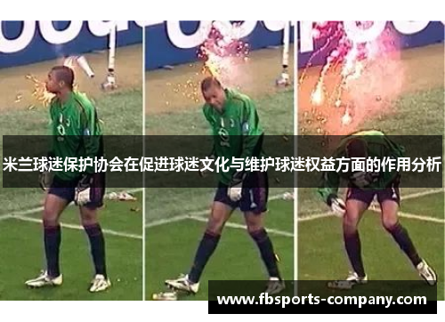 米兰球迷保护协会在促进球迷文化与维护球迷权益方面的作用分析
