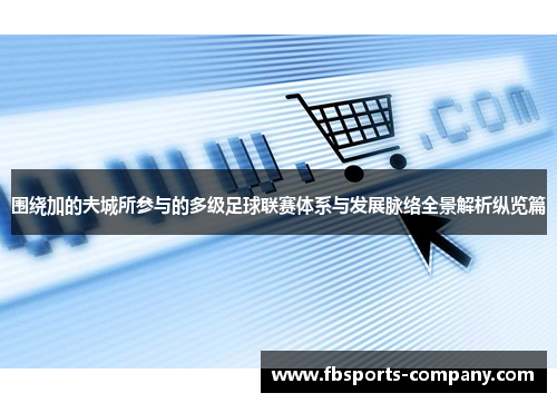 围绕加的夫城所参与的多级足球联赛体系与发展脉络全景解析纵览篇 围绕加的夫城所参与的多级足球联赛体系与发展脉络全景解析纵览篇